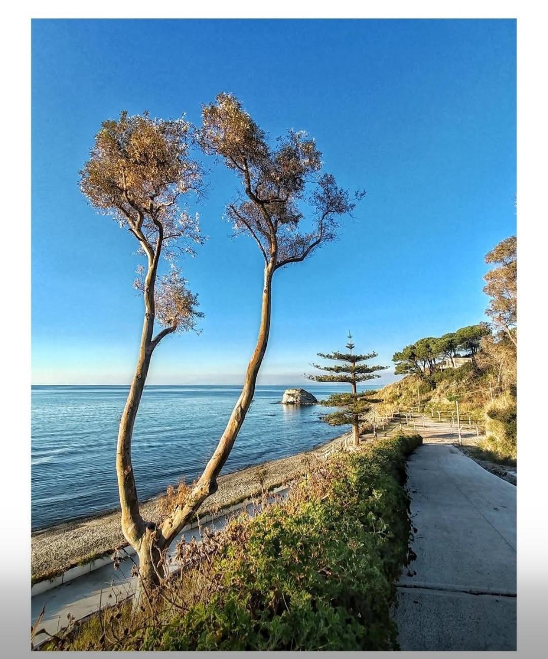 Villa Eden Agropoli Bagian luar foto
